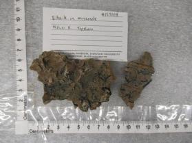 elbaite in muscovite