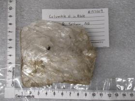 columbite xl. In albite