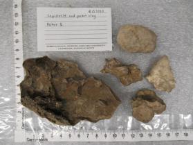 lepidolite and pocket clay