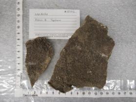 lepidolite