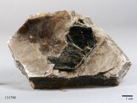 Muscovite