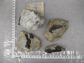 cassiterite with albite, muscovite