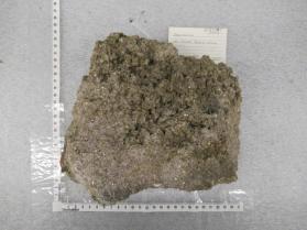 lepidolite