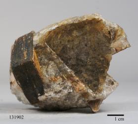 Muscovite