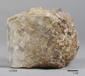 Manganocolumbite with Albite and Lepidolite and Quartz