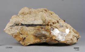 Columbite-(Fe) with MICROCLINE and Muscovite and Quartz