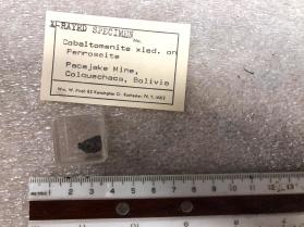Cobaltomenite xled on Penroseite