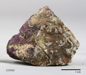 Purpurite