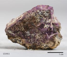 Purpurite