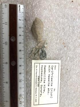 Carlfriesite (rich) with Hessite etc.