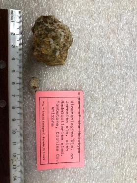 Winstanleyite xls on Jarosite xls with Rodalquilarite xled, also contains Fairbankite xls and Oboyerite