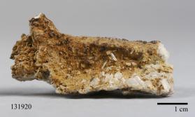 Columbite-(Fe)