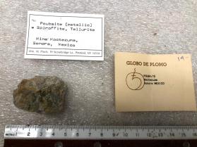 Poubaite (metallic) w Spiroffite, Telluride