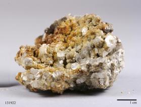 Muscovite