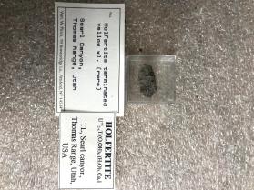 Holfertite terminated yellow xl (rare)