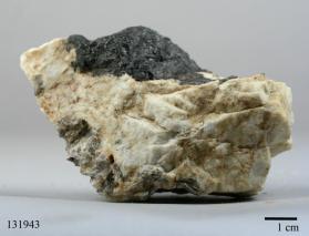 Manganocolumbite