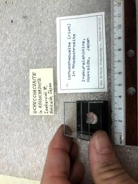 Uchucchacuaite (rich) in Rhodochrosite