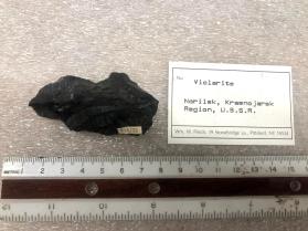 Violartie
