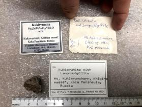 Kukisvumite with Lamprophhyllite