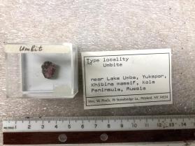 Umbite