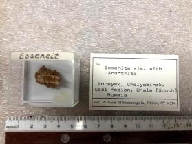 Essenite xls. With Anorthite