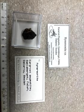 Rynersonite 