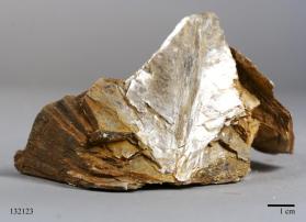 Muscovite