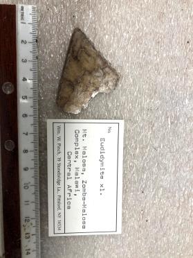 Eudidymite xl.