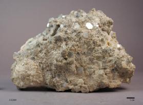 Muscovite