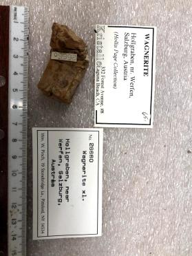 Wagnerite xl.