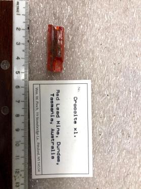 Crocoite xl.