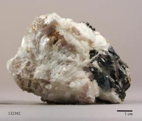 Tantalite-(Mn)