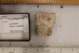 Hillebrandite