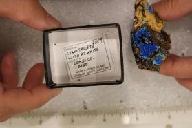 Cyanotrichite with Azurite