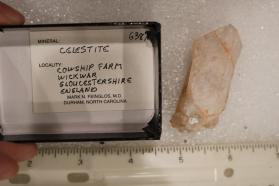 Celestine