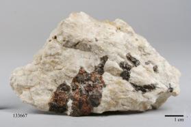 Columbite-(Fe)