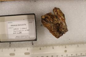 Brackebuschite