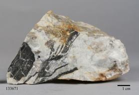 Manganocolumbite with Albite and CASSITERITE