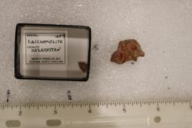 Calcurmolite