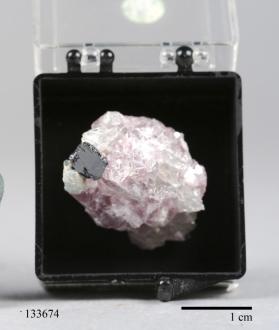 Manganocolumbite with Lepidolite