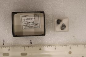 Canfieldite