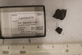 Canfieldite-Te (2 pieces)