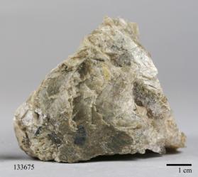 Columbite-(Fe) with Albite