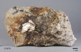 Columbite-(Fe) with Albite