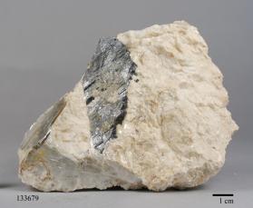 Columbite-(Fe) with Albite