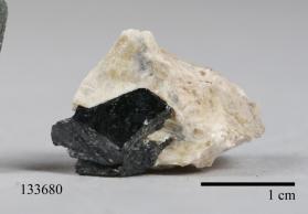 Columbite-(Fe) with Albite and Muscovite and ZIRCON