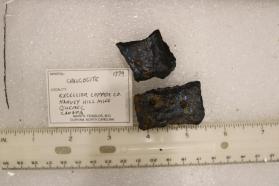 Chalcocite (2 pieces)