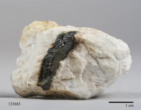 Manganocolumbite with Albite