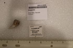 Akaganeite