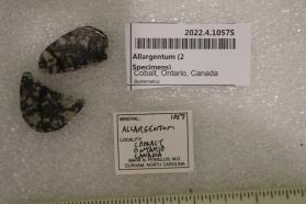 Allargentum (2 Specimens)